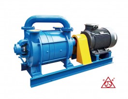 F2SK系列耐腐蚀真空泵